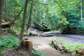 Enlarge photo 220