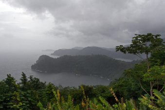Enlarge photo 242