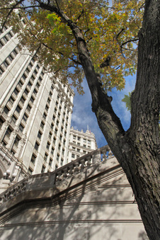 Enlarge photo 87