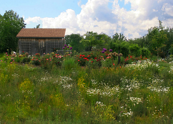 Enlarge photo 57