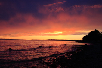 Enlarge photo 118