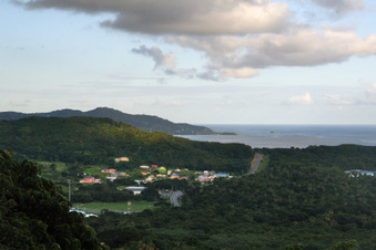 Enlarge photo 238
