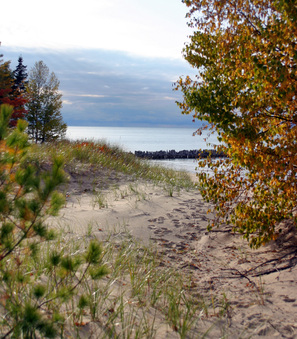 Enlarge photo 4