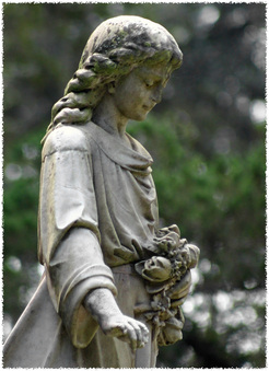 Enlarge photo 179