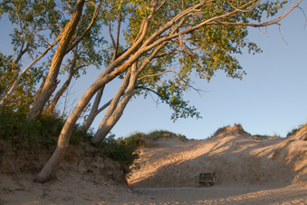 Enlarge photo 229