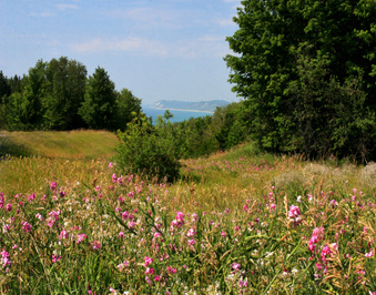 Enlarge photo 22