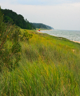 Enlarge photo 14