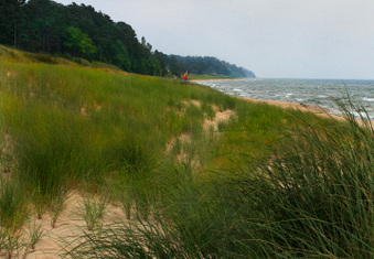 Enlarge photo 28