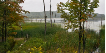 Enlarge photo 231