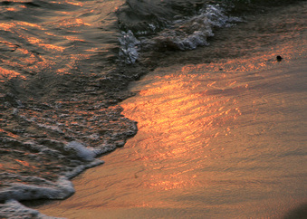 Enlarge photo 117