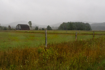 Enlarge photo 230