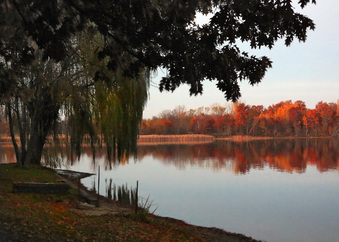 Enlarge photo 2