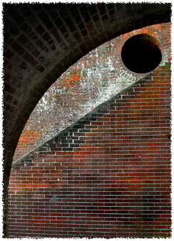 Enlarge photo 159
