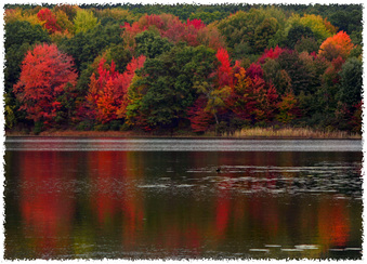 Enlarge photo 133