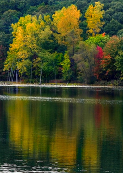 Enlarge photo 132