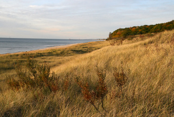 Enlarge photo 15