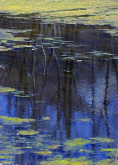 Enlarge photo 134