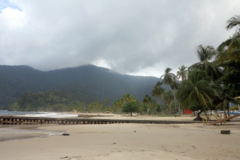 Enlarge photo 234