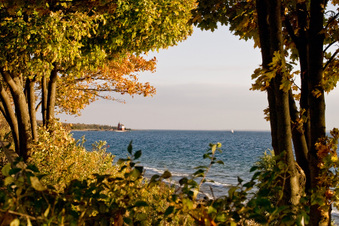 Enlarge photo 192