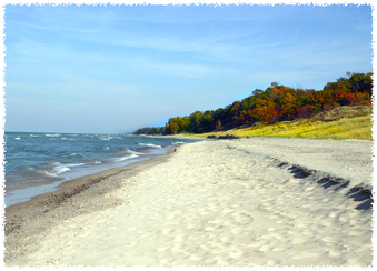 Enlarge photo 25