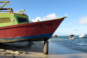 Enlarge photo 236