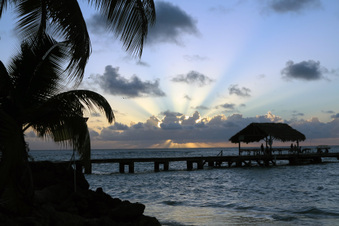 Enlarge photo 235