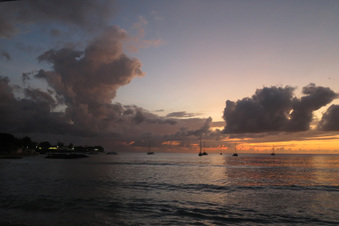 Enlarge photo 237