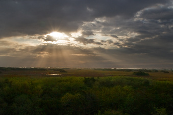 Enlarge photo 204