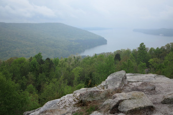 Enlarge photo 221