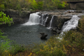 Enlarge photo 222