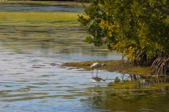 Enlarge photo 202