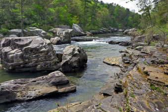 Enlarge photo 224