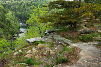 Enlarge photo 226