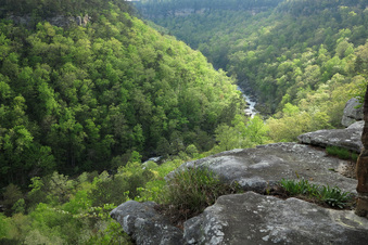 Enlarge photo 227