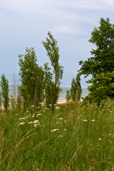Enlarge photo 208