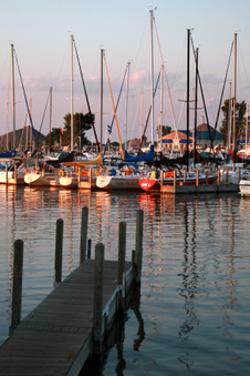 Enlarge photo 46
