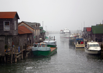 Enlarge photo 42