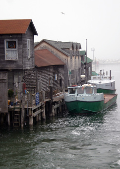 Enlarge photo 43
