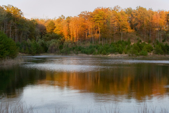 Enlarge photo 220