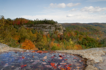 Enlarge photo 225