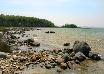 Enlarge photo 49