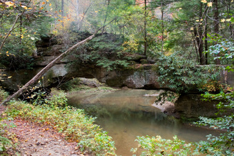 Enlarge photo 226