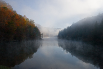 Enlarge photo 215