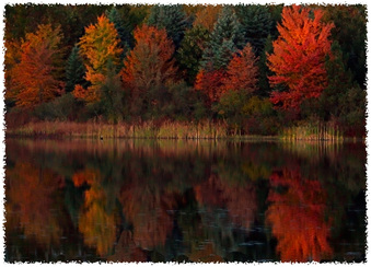 Enlarge photo 141