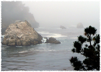 Enlarge photo 142