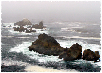 Enlarge photo 143