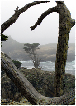 Enlarge photo 144