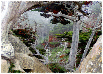 Enlarge photo 145
