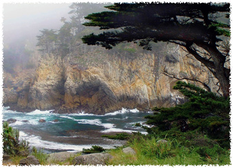 Enlarge photo 146