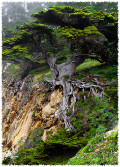 Enlarge photo 147